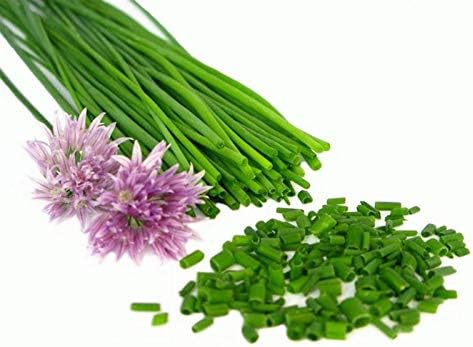 Seeds Chives Onion - Heirloom Vegetable - GMO Free