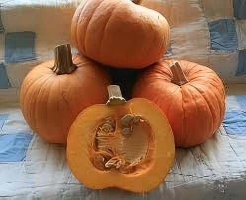 Pumpkin Sugar Pie Great Heirloom Vegetable by Seed Kingdom 1 Oz Seeds