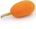 Park Seed Orangetti Spaghetti Organic Squash Seeds – Vibrant Orange Flesh, Low-Calorie Pasta Substitute, High-Yield Vine with Open Habit, Great Flavor and Nutrition, Easy to Grow from Seed, Pack of 10