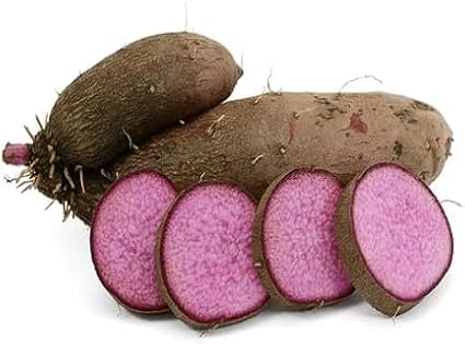 100 Pcs Dioscorea Alata Seeds, Heirloom Purple Yam Vegetable Seeds for Planting, High-Yield Tuber for Home Gardens, Farms, Backyard Growing & Sustainable Food Gardening