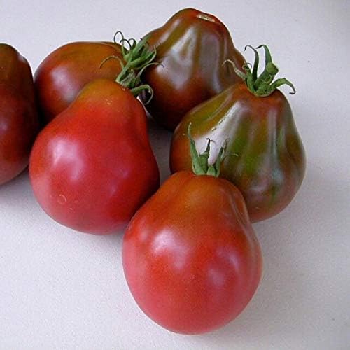 Seeds Tomato Pear-Shaped Black Heirloom Vegetable for Planting Non GMO