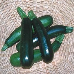 Heirloom Squash Seed Assortment- 5 Heirloom Varieties- 170+ Seeds