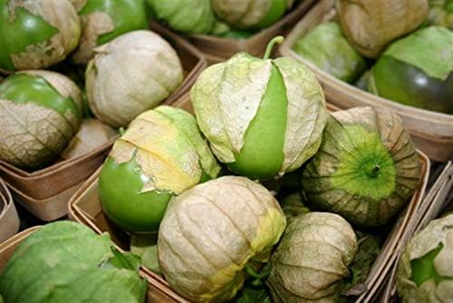 Seeds4planting - Seeds Mexican Husk Tomatillo Green Physalis Vegetable Non GMO Heirloom for Planting