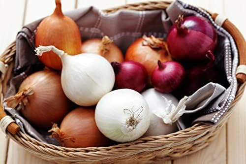 500+ Seeds Onion - Vegetable Mix