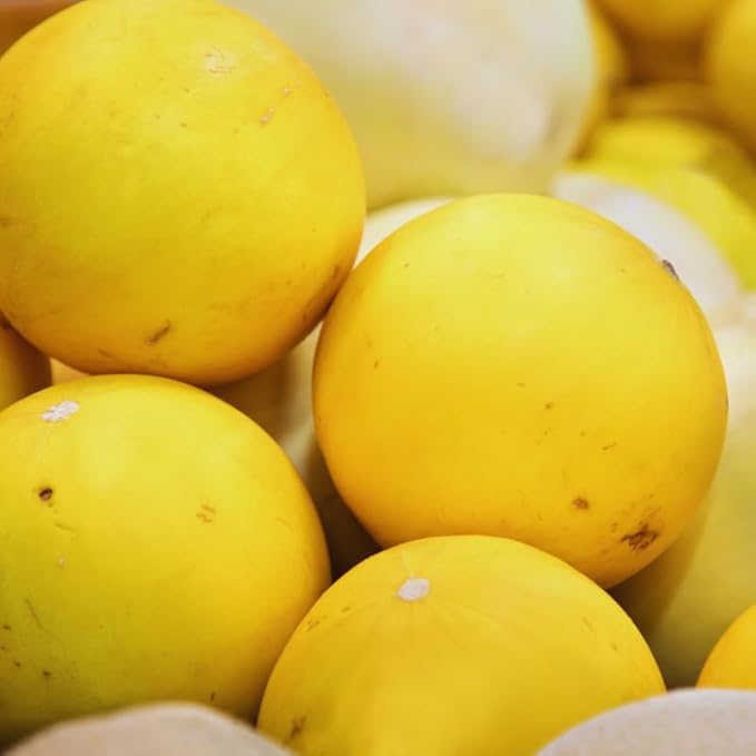 50 Golden Melon Seeds, Vegetable Seeds, Golden Melon Seeds for Planting Indoor Outdoor