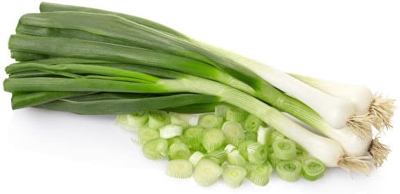 Todd's Seeds Evergreen Bunching Nebuka Onion Heirloom Seed