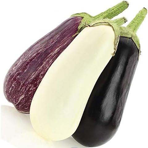 Seeds Eggplant Long Mix- Heirloom Vegetable - GMO Free