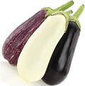 Seeds Eggplant Aubergine Long Mix Heirloom Vegetable for Planting Non GMO