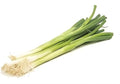 Onion Bunching Tokyo Long White Great Heirloom Vegetable by Seed Kingdom 1 OZ Seeds