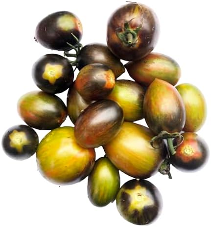 Organic Brad's Atomic Grape Tomato Seeds (Solanum lycopersicum) 150 Seeds (0.5 Grams) - Tie-dye Psychadelic Heirloom Open Pollionated Tomato Seeds by Smoke Camp Crafts
