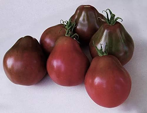 Seeds Tomato Pear-Shaped Black Heirloom Vegetable for Planting Non GMO