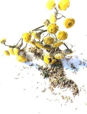 Organic Tansy Seeds (Tanacetum vulgare) 500 Seeds (0.1 Grams)