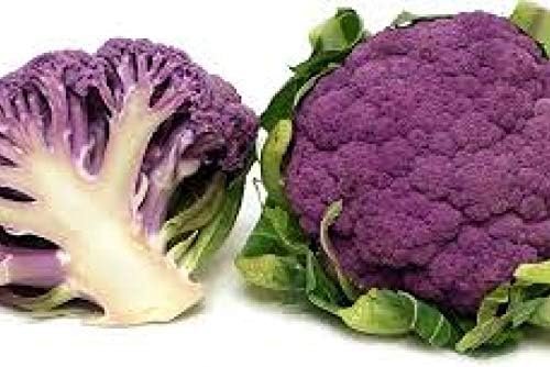 Seeds Vegetable Cauliflower Purple Cabbage - 100 Seeds
