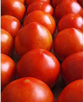 Vegetable Garden Seeds for Planting - Grow Heirloom Vegetables (Early Girl Tomato)