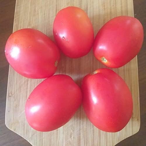 NIKA SEEDS - Seeds Vegetable Pink De Barao Tomato - 30 Seeds