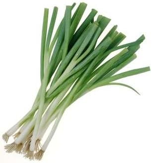 Todd's Seeds Evergreen Bunching Nebuka Onion Heirloom Seed