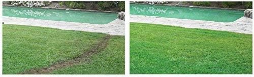 Hydro Mousse Liquid Lawn System – Bermuda Rye Mixture - Grass Seed Spray Kit for Spot Repair & Full Lawn Seeding – Easy-to-Use Lawn Patch Solution