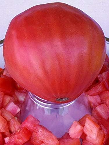 NIKA SEEDS - Seeds Vegetable Red Bulls Heart Beefsteak Tomato - 40 Seeds