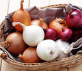 KIRA SEEDS - Seeds Onion Mix - Neutral Day - Heirloom Vegetable - GMO Free