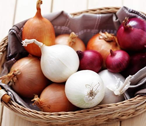KIRA SEEDS - Seeds Onion Mix - Neutral Day - Heirloom Vegetable - GMO Free