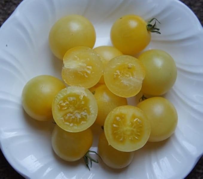 Tomato 'Snow White Cherry' Seeds – Indeterminate Annual Vegetable (Solanum lycopersicum) | 55–65 Days, Open-Pollinated, Sweet & Creamy White Cherry Tomatoes
