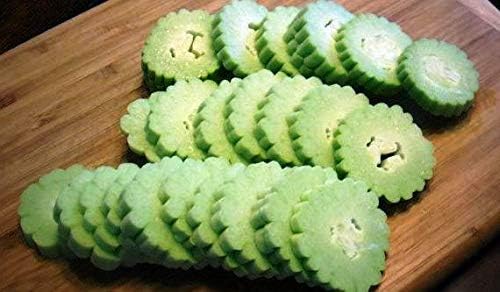 Seeds Armenian Cucumber - Open-Pollinated - Heirloom Vegetable - GMO Free