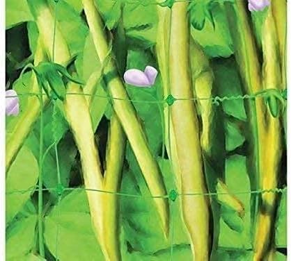 6.5x15ft Heavy Duty Garden Trellis Netting, UV-Resistant Polyethylene Plant Climbing Net, 6x6 Inch Square Mesh, for Cucumber Tomato Bean Grape Flower Outdoor Gardening