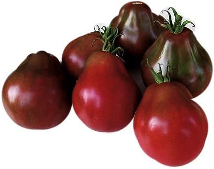 Seeds Tomato Black Truffle Vegetable Garden Heirloom for Planting Non GMO
