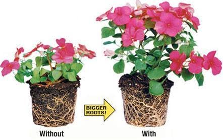 Sachets: Helps Your Plants Grow Bigger Faster and Stronger