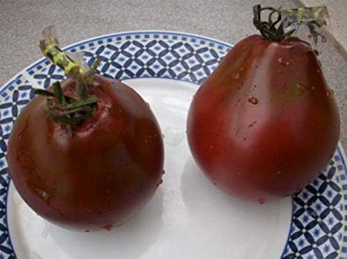 Seeds4planting - Seeds Tomato Black Truffle Heirloom Vegetable Non GMO