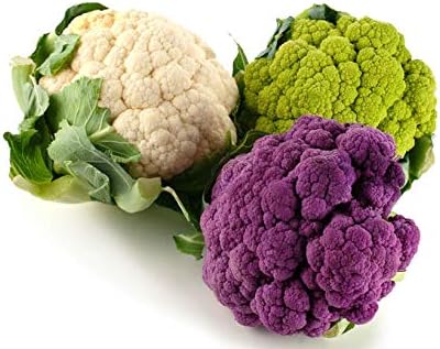 CEMEHA SEEDS - Seeds Cauliflower Cabbage Mix Non GMO Vegetable for Planting