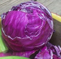 Cabbage Red Acre Great Heirloom Vegetable by Seed Kingdom Bulk 12,000 Seeds