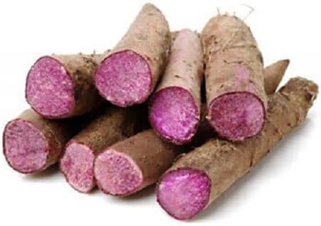 100 Pcs Dioscorea Alata Seeds, Heirloom Purple Yam Vegetable Seeds for Planting, High-Yield Tuber for Home Gardens, Farms, Backyard Growing & Sustainable Food Gardening