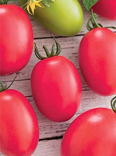 NIKA SEEDS - Seeds Vegetable Pink De Barao Tomato - 30 Seeds