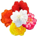 Park Seed Nonstop Joy Mix Begonia Seeds, Pack of 10 Seeds