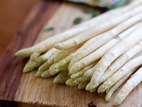 Seeds Vegetable Asparagus White - 30 Seeds