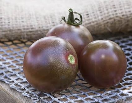 Black Cherry Heirloom Tomato Premium Seeds for Planting Packet