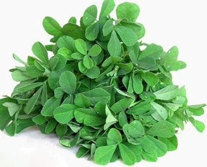 1000 Mixed Herb Seeds Heirloom Non GMO 12 Varieties This is a Mix, Thyme Oregano Sage Tarragon Marjoram Summer Savory Basil Italian Greek Thai Dwarf Ruby Red, Diplotaxis tenuifolia Grown in USA