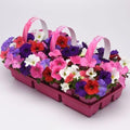Park Seed Easy Wave Formula Mix Petunia Seeds – E3 Early Blooming Blend with Blue, Coral, Pink, Red, and White Flowers, Fragrant Spreading Habit for Beds, Baskets, or Containers – Pack of 10