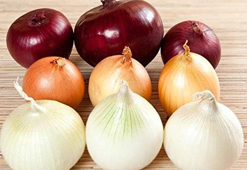 CEMEHA SEEDS - Seeds Onion Mix Non GMO Vegetable for Planting