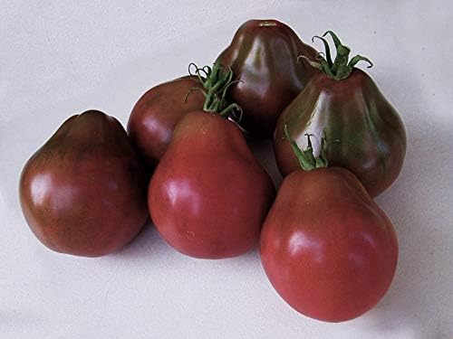 Seeds Tomato Black Truffle Vegetable Garden Heirloom for Planting Non GMO