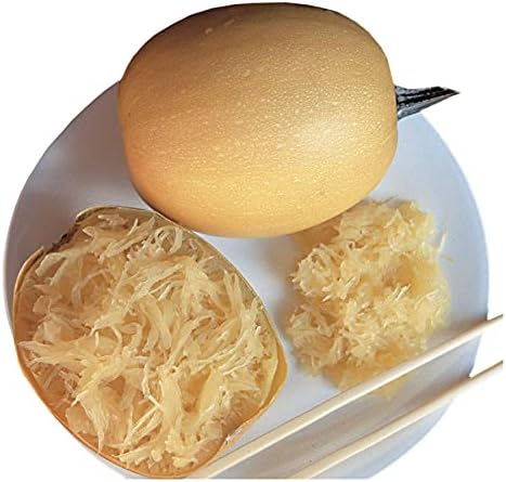Park Seed Hybrid Spaghetti Squash Seeds – Golden-Orange Oval Fruits with Creamy Yellow Flesh, Healthy Pasta Alternative, High-Yield Vining Plant with Compact 3 lb Fruits, Easy to Grow, Pack of 20