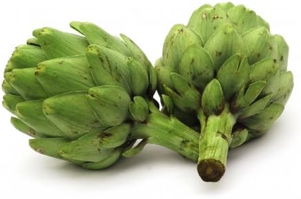 Artichoke Green Globe Great Heirloom Vegetable by Seed Kingdom (1 Oz Seeds)