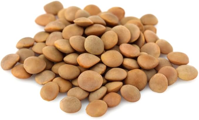 CZ Grain Food Plot Seeds for Planting - Grow Food for Deer, Turkey, Elk, Phesants, Quail and Other Wild Game (Lentils - 8 Oz.)