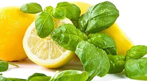Seeds Lemon Basil Herb Non GMO Heirloom for Planting