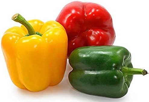 NIKA SEEDS - Seeds Vegetable Sweet Bell Pepper Rainbow White-Red - 30 Seeds
