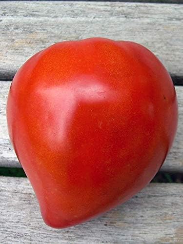 NIKA SEEDS - Seeds Vegetable Red Bulls Heart Beefsteak Tomato - 40 Seeds