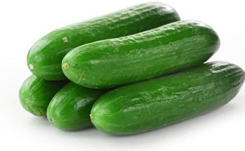 30 Beit Alpha Burpless Sweet Cucumber Seeds, Heirloom Non-GMO, Non-Bitter and Acid Free, Crispy and Delicious, Cucumis sativus, from USA