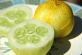 Cucumber Lemon Great Heirloom Vegetable Seeds by Seed Kingdom (1 Oz Seeds)