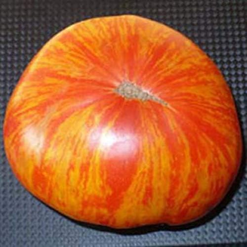 RAISE ME UP: Seeds Rainbow Beefsteak Tomato Variety from Minnesota Giant Indeterminate Non GMO Heirloom